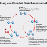 ozonisieren